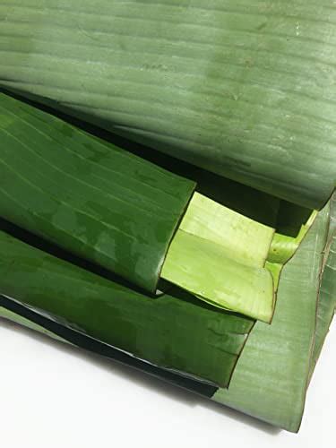 banana leaves in walmart|frozen banana leaves for sale.